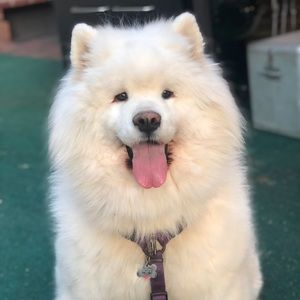 Meet your Posher, Jb